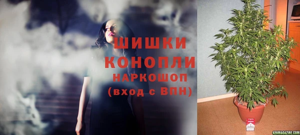 кокаин Богданович