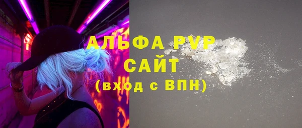 молекула духа Богородицк