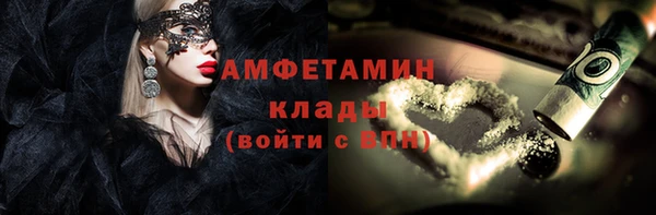 молекула духа Богородицк