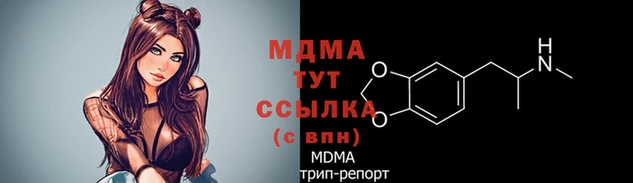 стаф Богородск