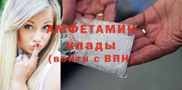 молекула духа Богородицк