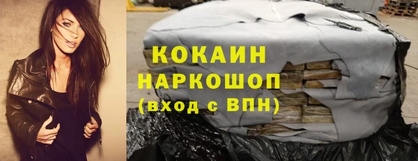 молекула духа Богородицк