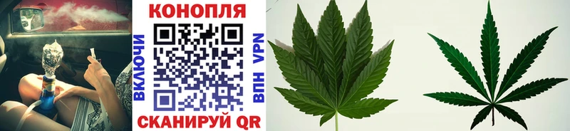 Бошки Шишки Bruce Banner  Купить  Солнечногорск 